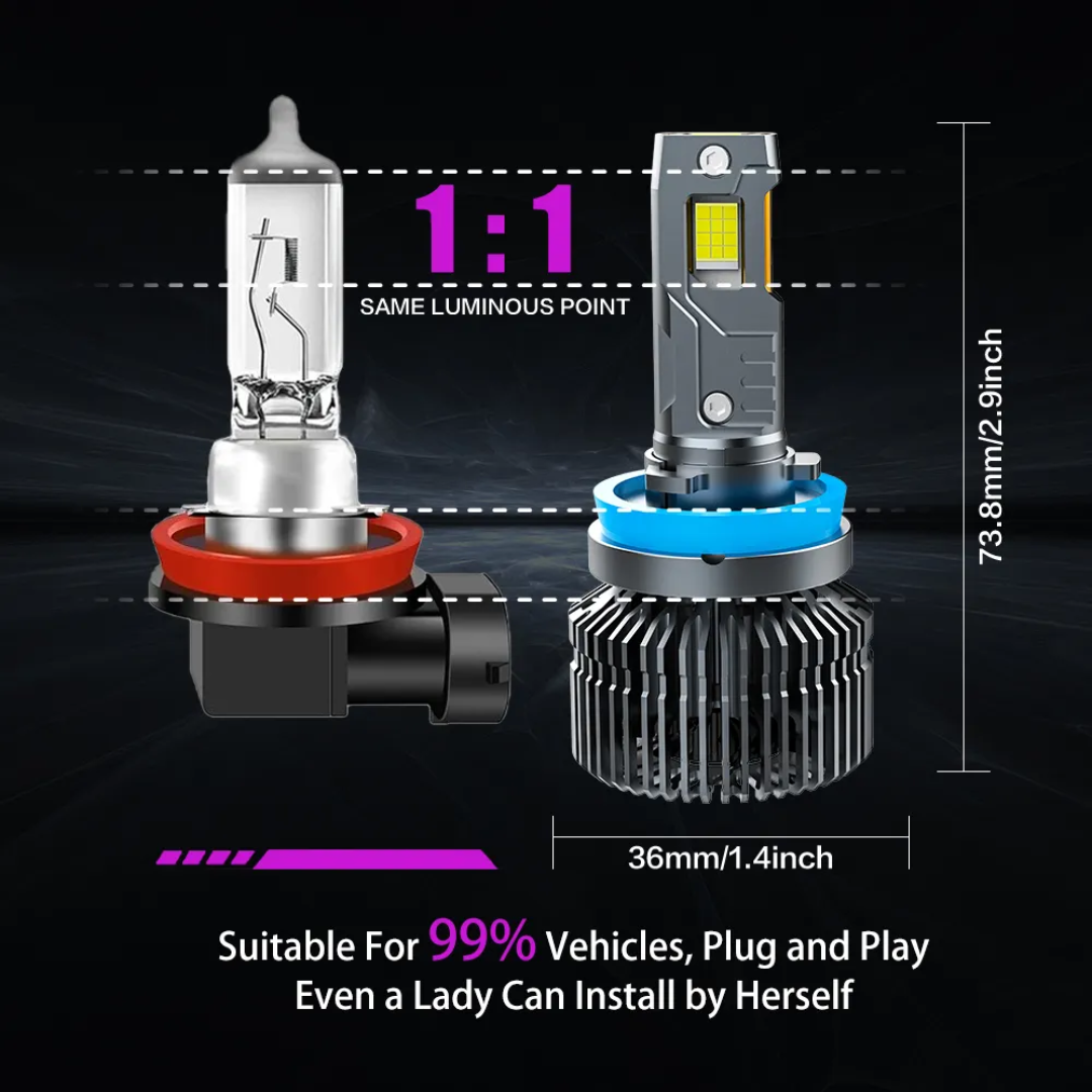 256w LED 6500K